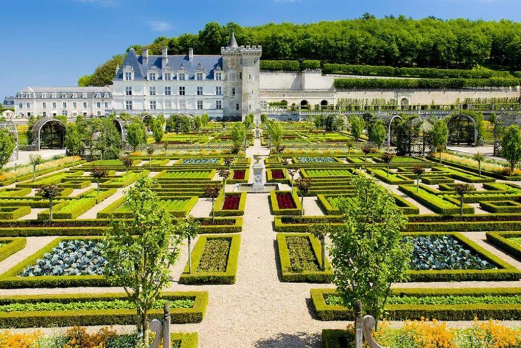 AMALOUYSE Studio de charme au cœur des châteaux de Loire Montlouis-sur-Loire Exterior foto